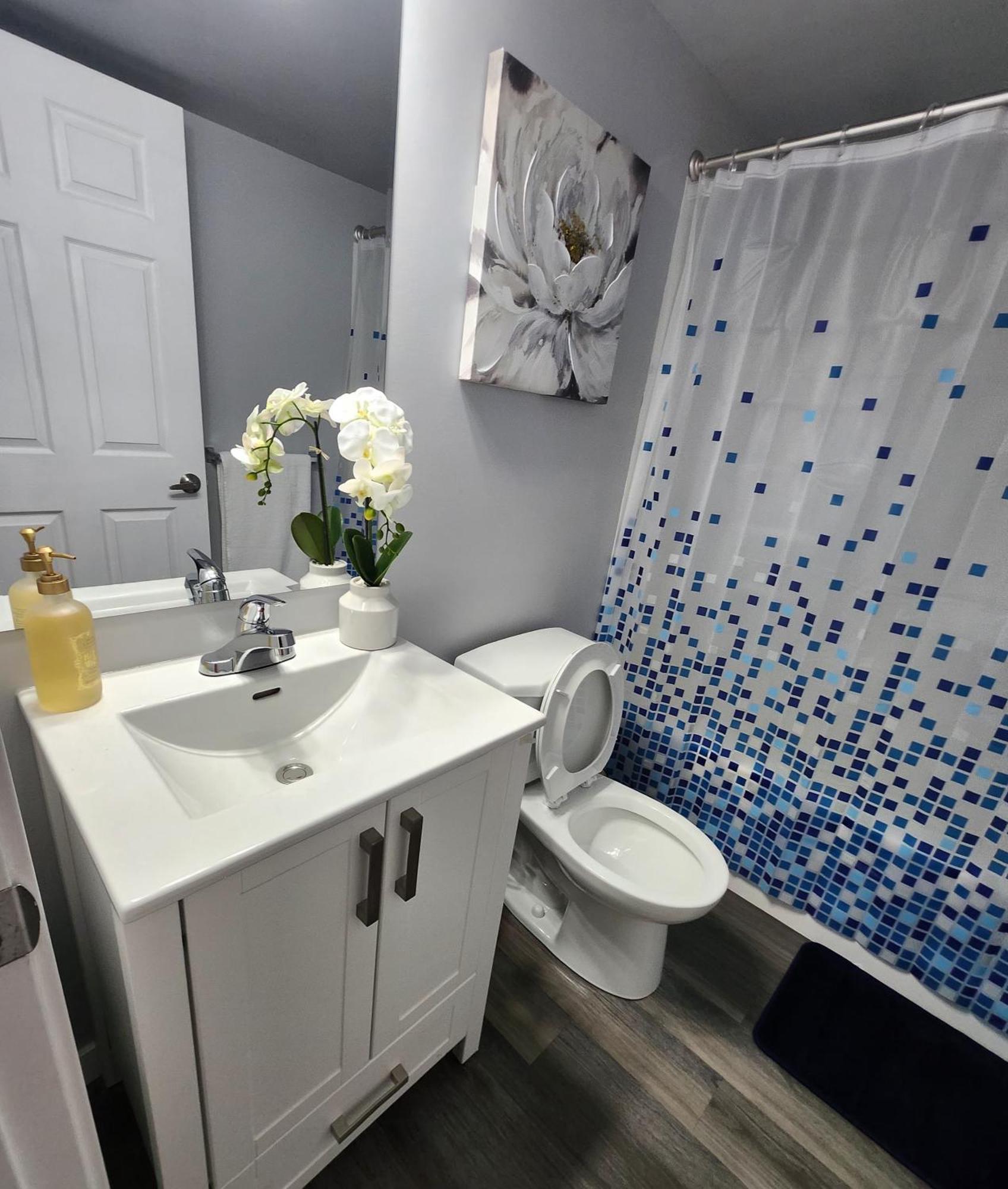Guest house Entire Basement With Private Entrance *